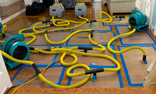 Professional Water Extraction technician working in Kasson, MN